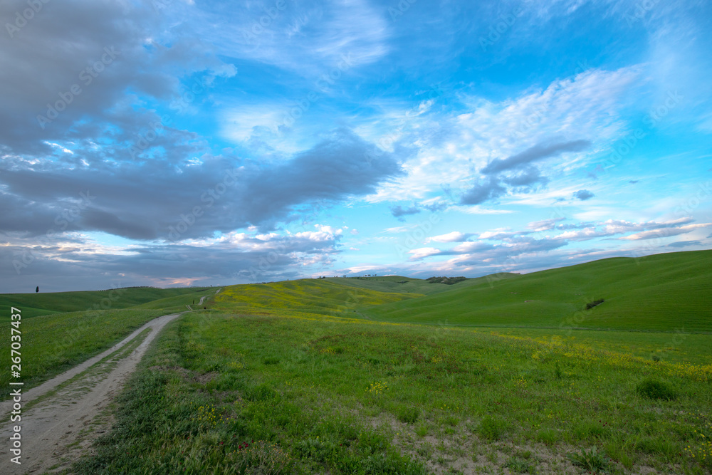 The landscape of Val d'Orcia. Hills of Tuscany. Val d'Orcia landscape in spring