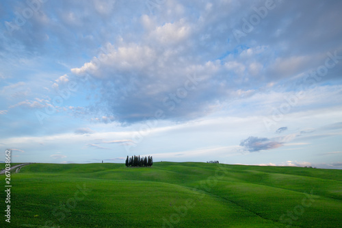 The landscape of Val d Orcia  green meadows and cypresses at sunset. Hills of Tuscany. Val d Orcia landscape in spring