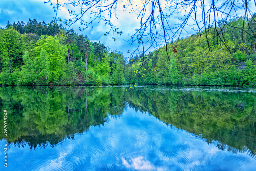 lake in forest