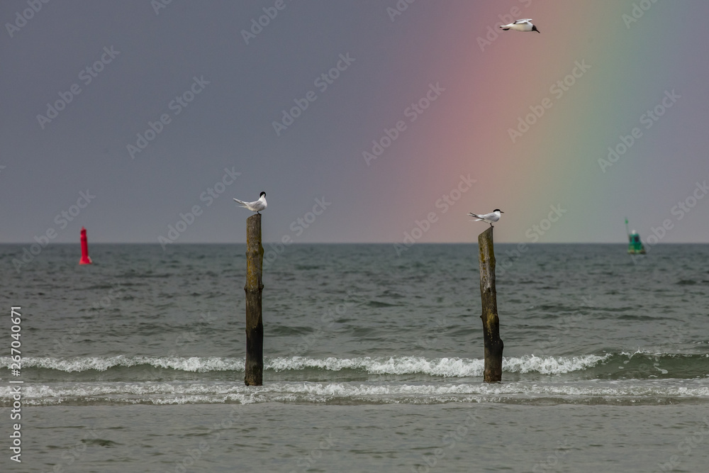 regenbogen am meer