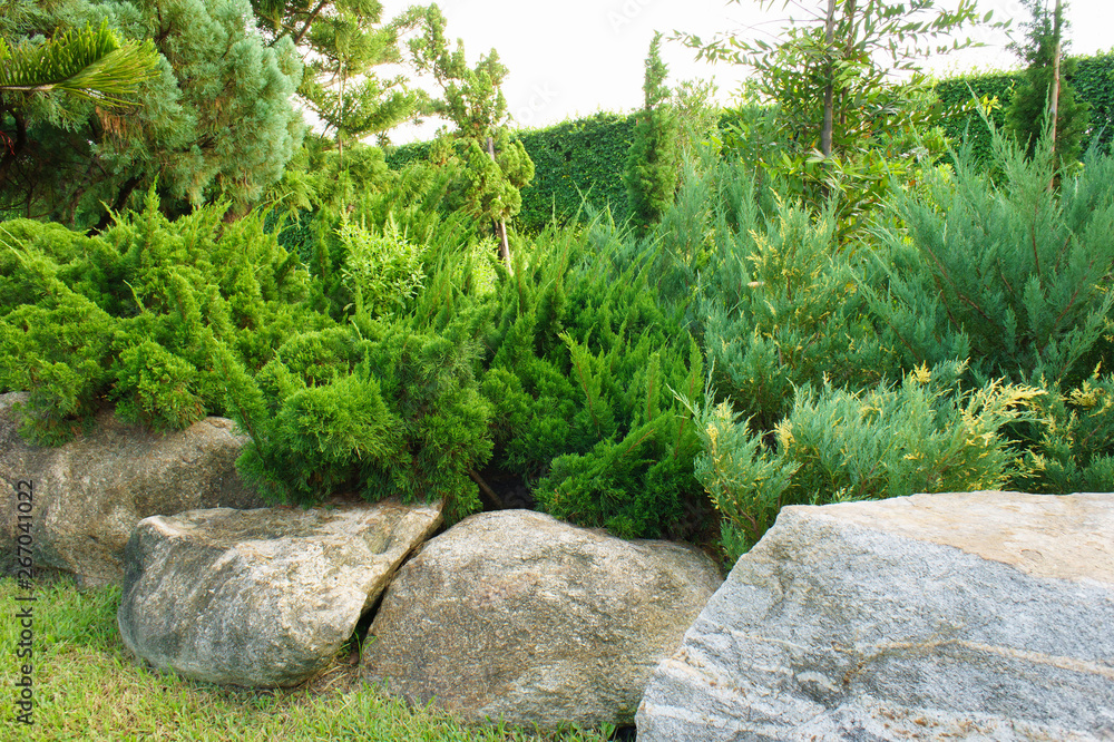 Obraz premium Stone park & bush are blue sky day. This have grass in foreground.