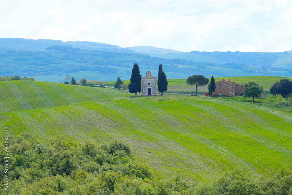 The landscape of Val d'Orcia with the church of Vitaleta in the background. Hills of Tuscany. Val d'Orcia landscape in spring