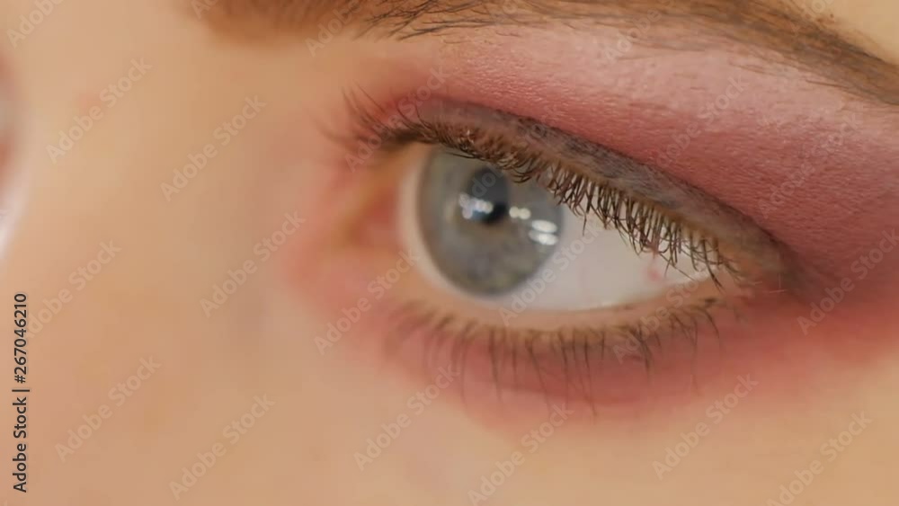 Beautiful Woman Brown eye holiday makeup. Make-up close-up. Young Woman eye macro shoot. Smokey, Smoky eyes. Makeup artist applies makeup to the client. shading shadows. Beautiful Woman Brown eye holiday makeup. Make-up close-up. Young Woman eye macro shoot. Smokey, Smoky eyes. Makeup artist applies makeup to the client. shading shadows.