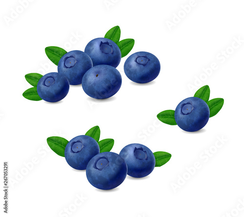 Blueberry isolated on white background. Realistic illustration