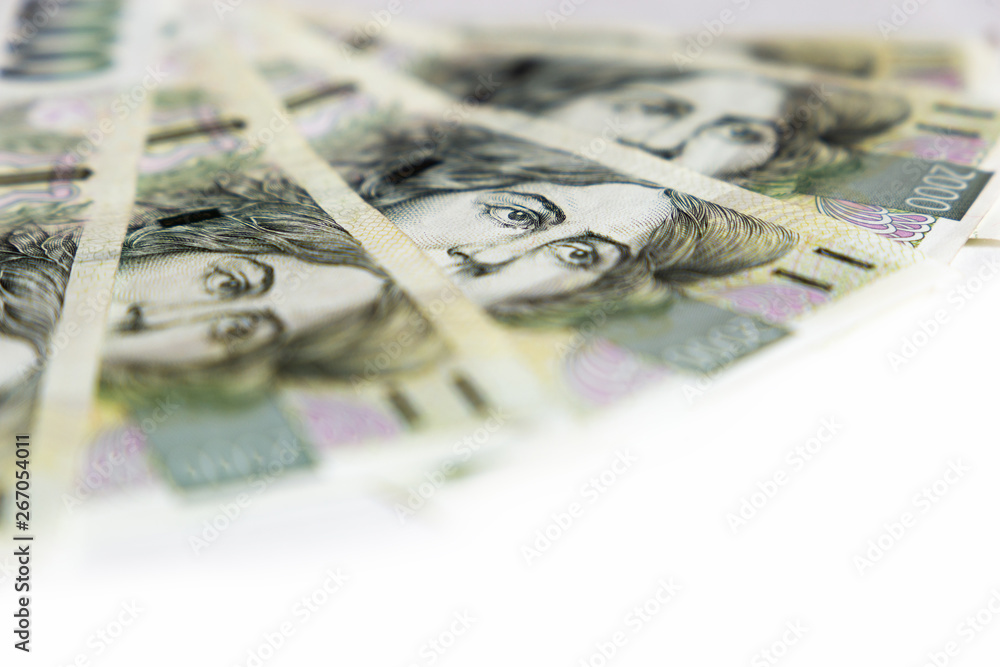 Czech money close-up on the white background Czech money close-up on the white background