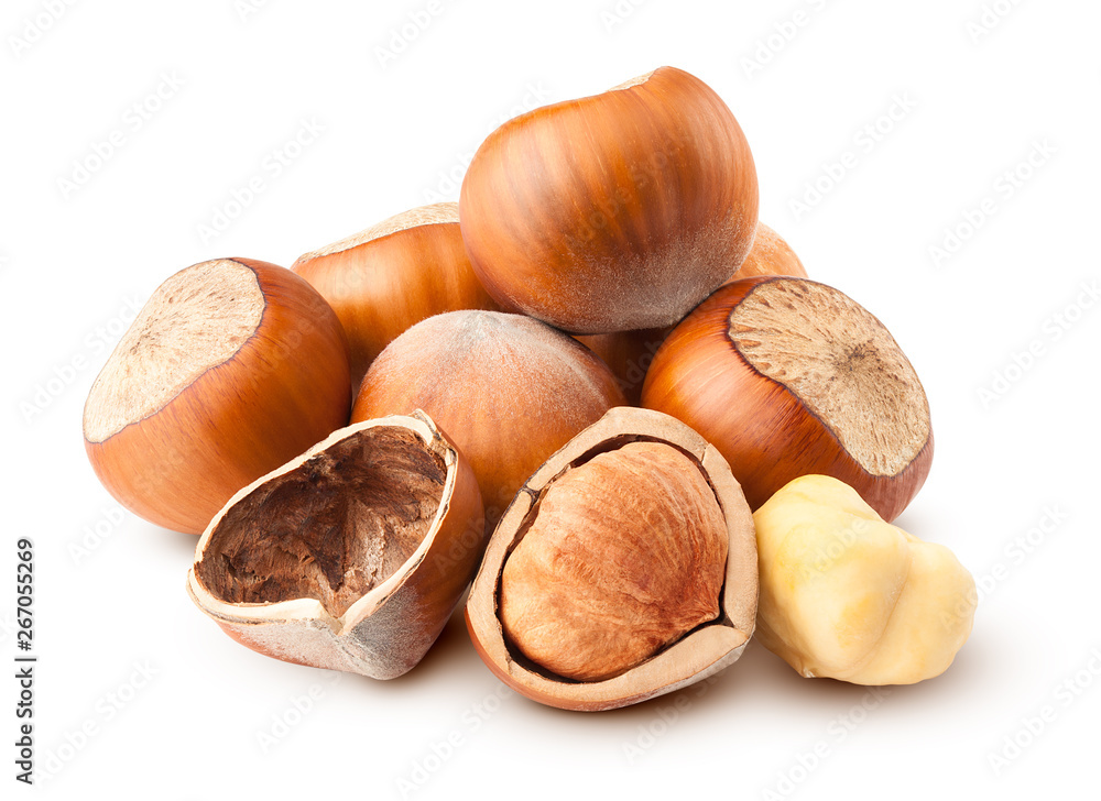 hazelnut isolated on white background, clipping path, full depth of field hazelnut isolated on white background, clipping path, full depth of field