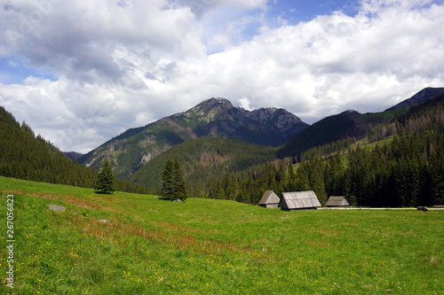 Chocholowska Valley in Tatra Mountains, Poland