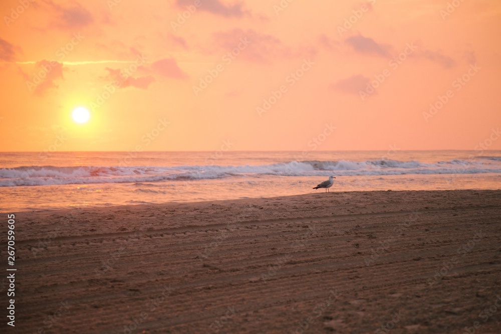 sunset on the beach