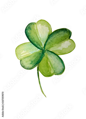 Beautiful clover plant watercolor illustration