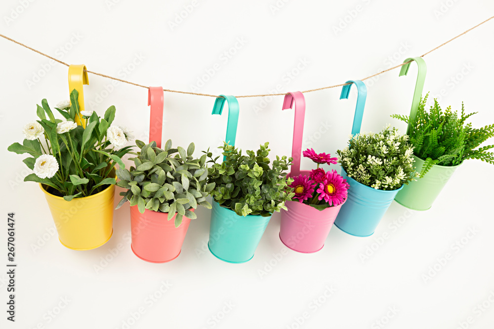 Maceteros de colores variados con plantas y flores. Stock Photo | Adobe  Stock