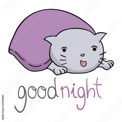 funny cat and good night message