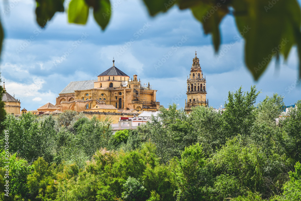 Long distance view of The Great Mosque or Catholic cathedral. Cordoba, Spain.