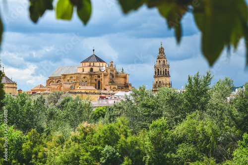 Long distance view of The Great Mosque or Catholic cathedral. Cordoba  Spain.