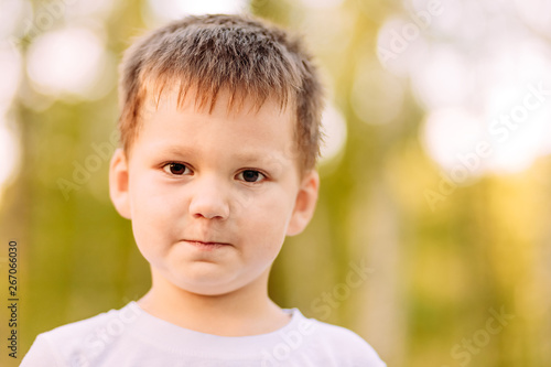 the face of a cute five-year-old boy on a blurred natural background