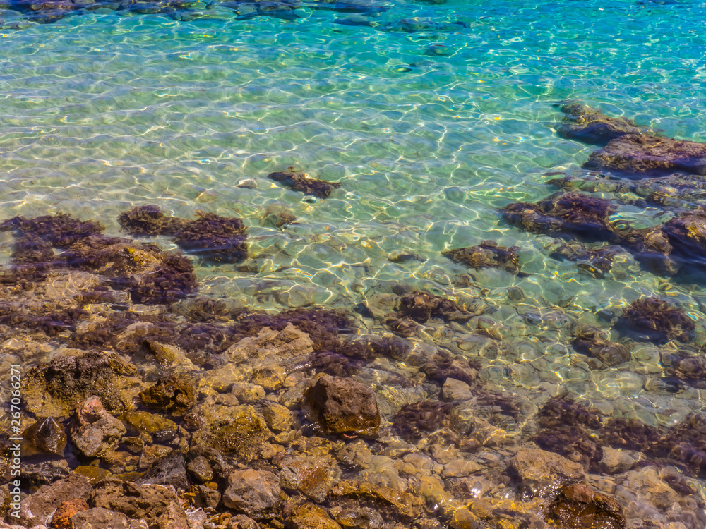 Fototapeta premium Crystal clear blue water - caustics effect - rocky shore