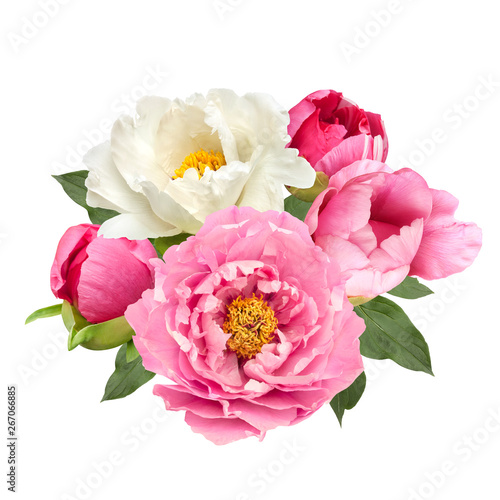 pink and white peony flowers bouquet isolated