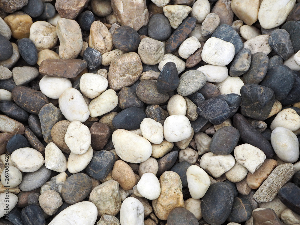 Natural Pebble Stone Walkway / Pathway in the City Park Natural Pebble Stone Walkway / Pathway in the City Park