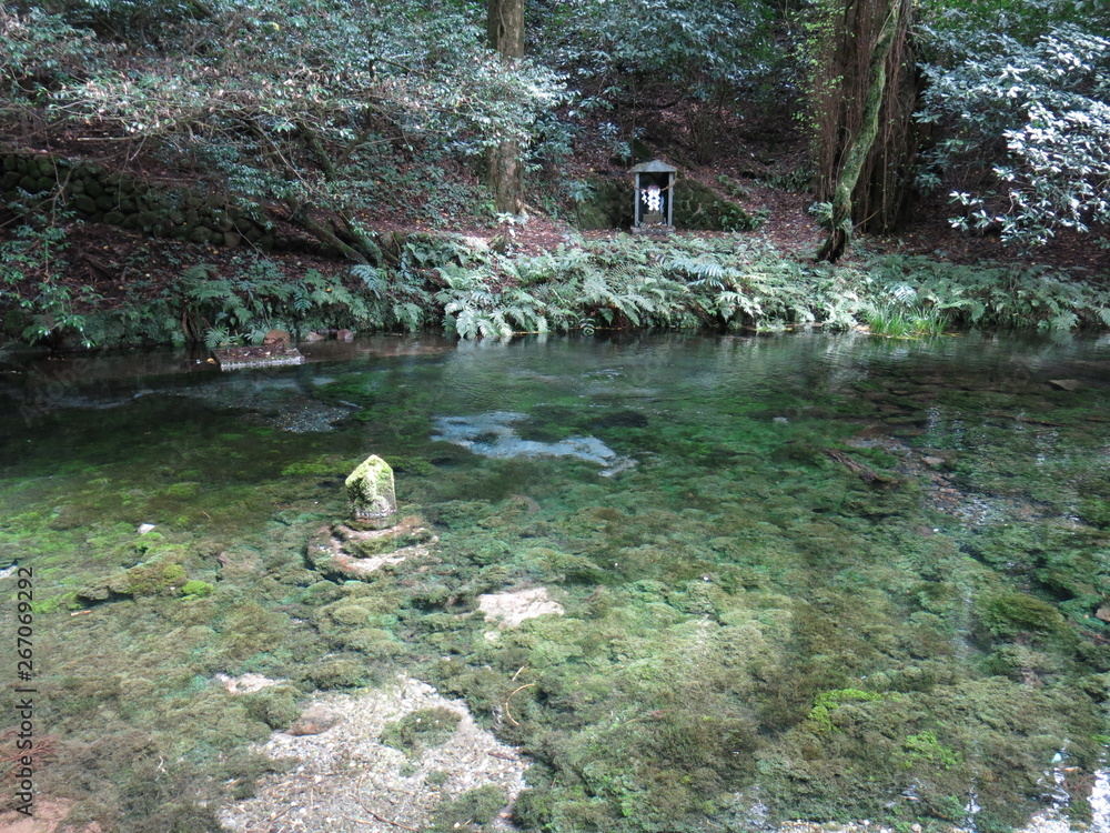 夏の池山水源Ikeyama Fountainhead Stock Photo | Adobe Stock
