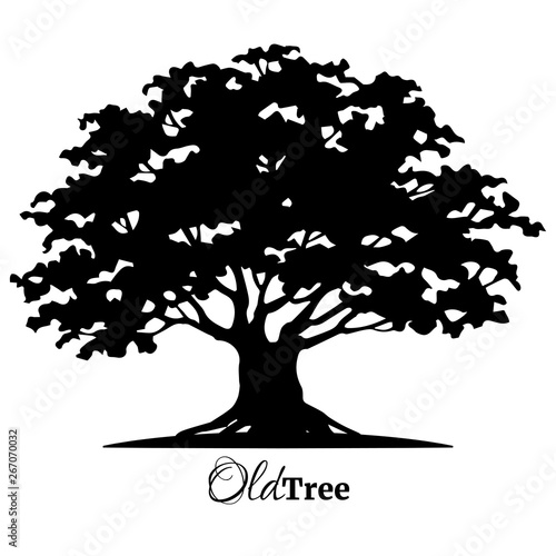 Black old tree silhouette. Tree of Life. Vector illustration.