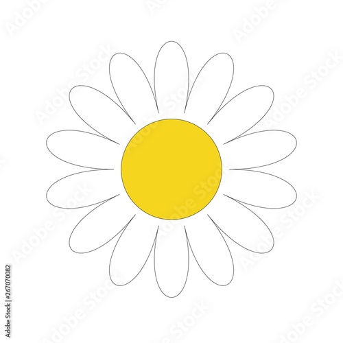 White daisy chamomile. Cute flower plant collection. Love card. Camomile icon Growing concept. Flat design.