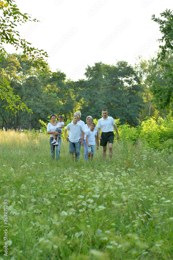 Obraz premium Portrait of big family in a summer park