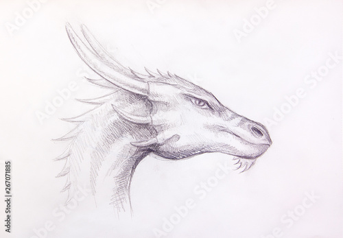 drawing of dragon head on paper. Profile portrait.