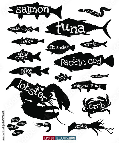 Sea animals silhouettes set. Sea animals names lettering. Vector illustration. Template for your design works.