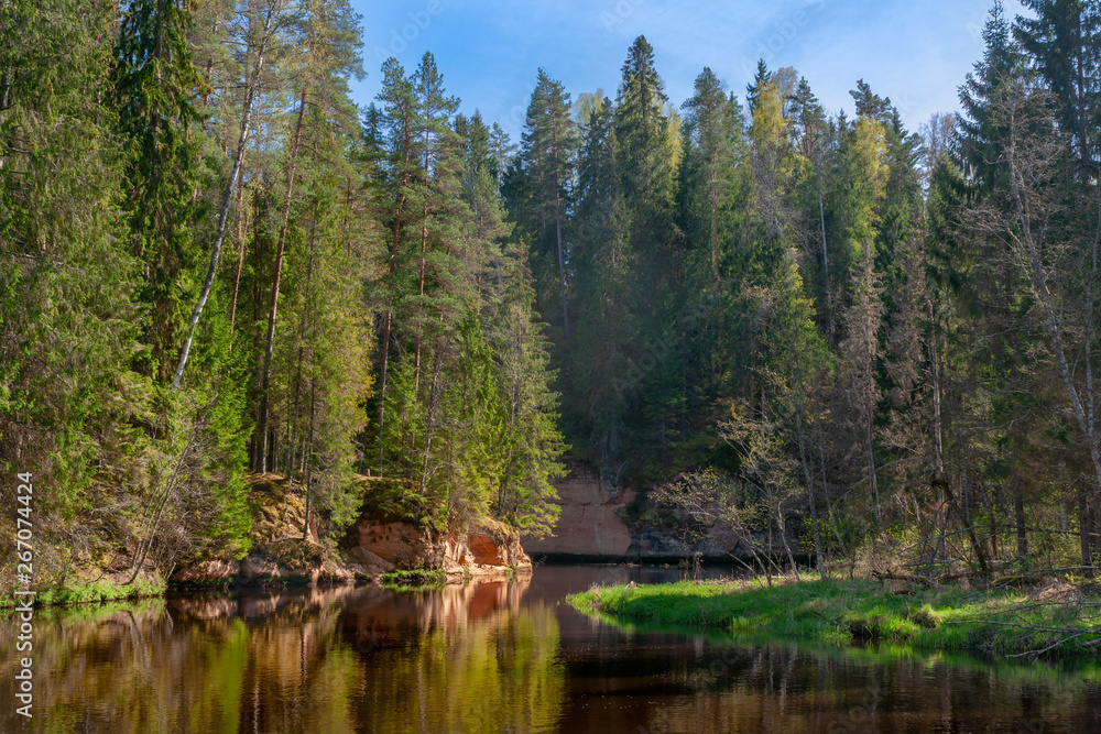 exelent river Brasle for boat trip and for trecking exelent river Brasle for boat trip and for trecking