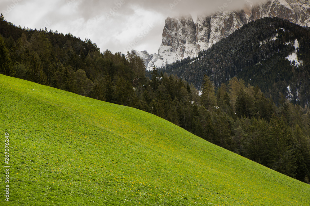 Beautiful mountain scenery in the Alps with fresh green meadows in bloom on a beautiful sunny day in springtime. Dolomiti montains in Italy. Landscape in spring in Europe.