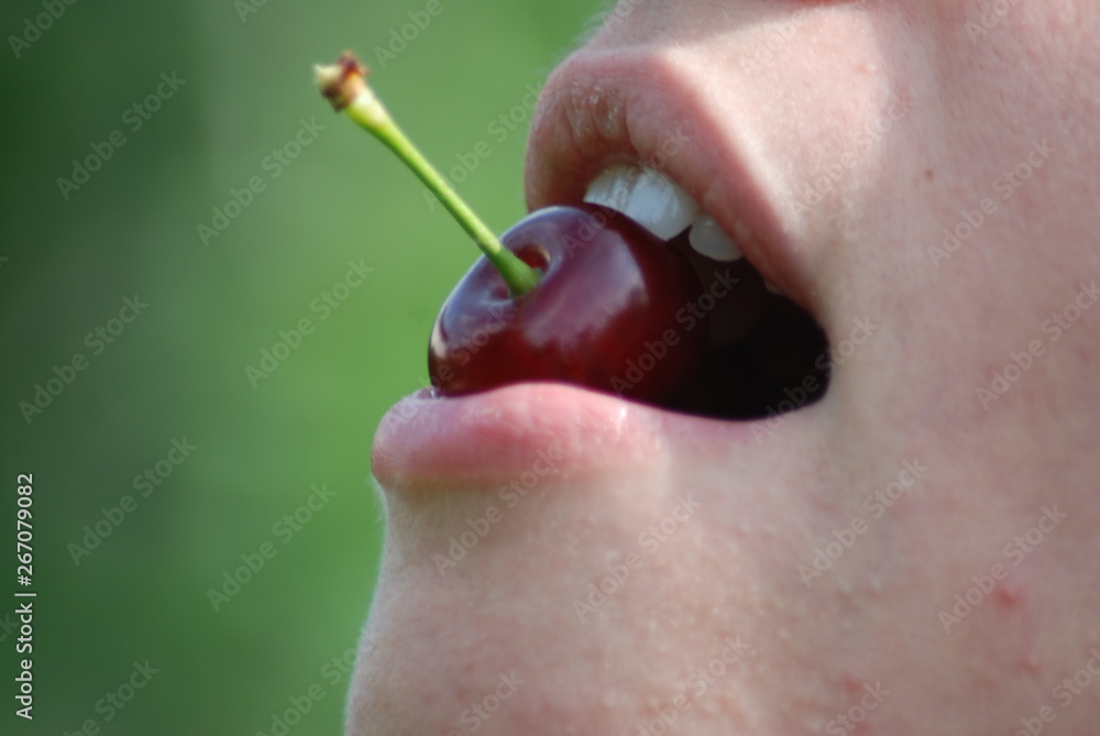 Obraz premium ciliege