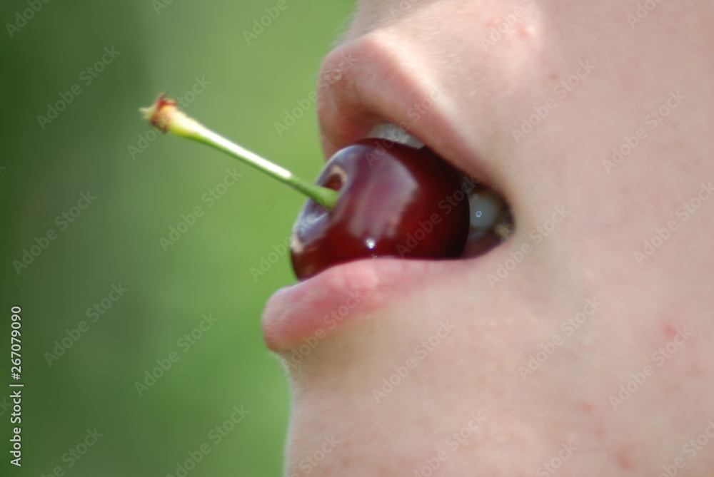 Obraz premium ciliege