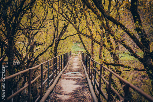 Bridge and autumn golden forest. Solitude landscape.