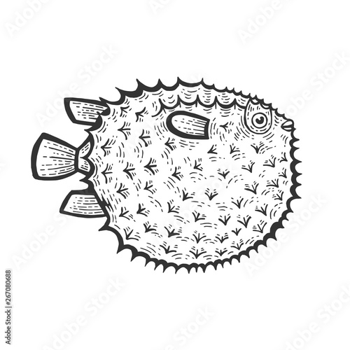 Fugu poisonous toxic fish animal sketch engraving vector illustration. Scratch board style imitation. Black and white hand drawn image.