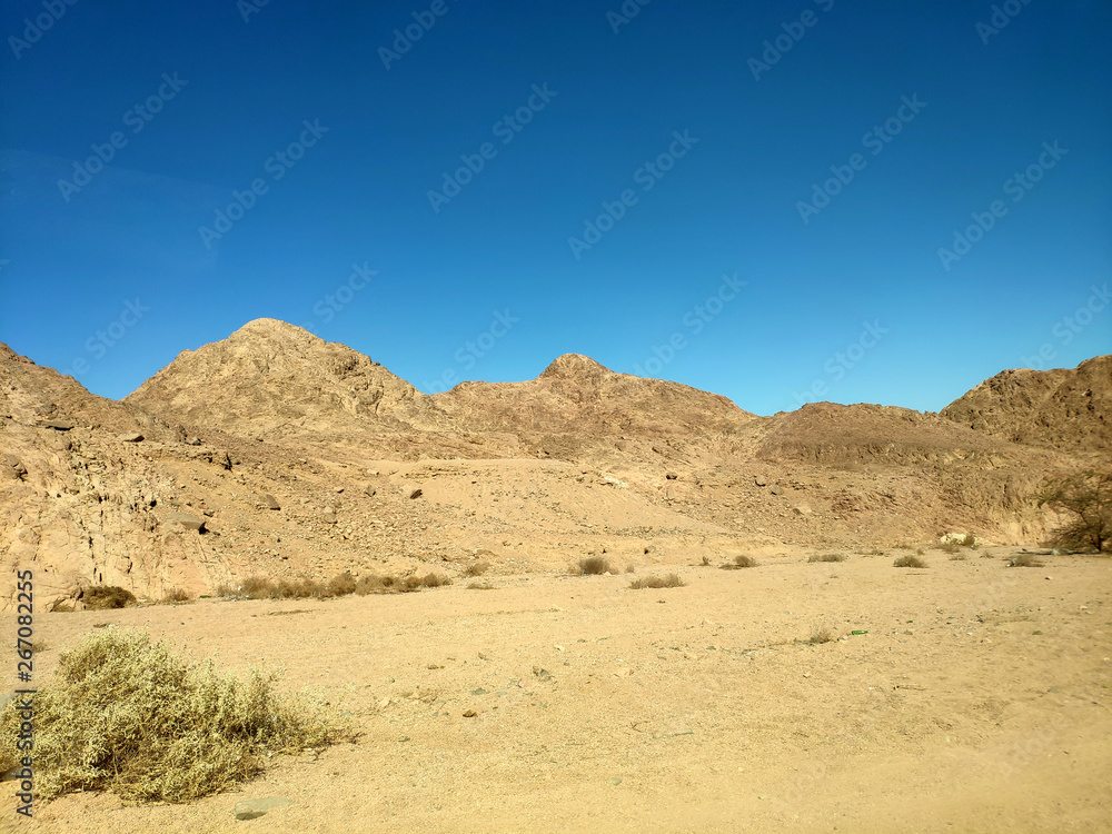 Desert land with mountains and sea