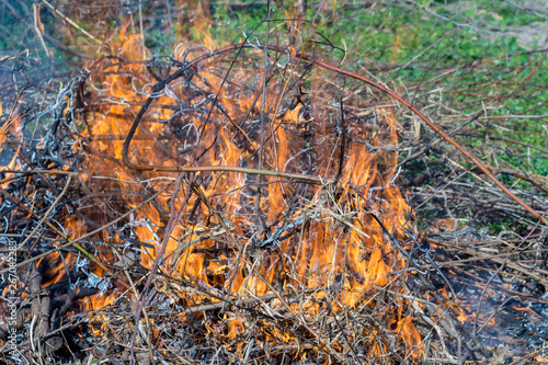 Bush on fire outdoor. Burning dry grass. Fire and smoke. background conceptual Dangerous fires and smokes © bibi75