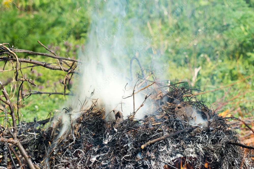Obraz premium Bush on fire outdoor. Burning dry grass. Fire and smoke. background conceptual Dangerous fires and smokes