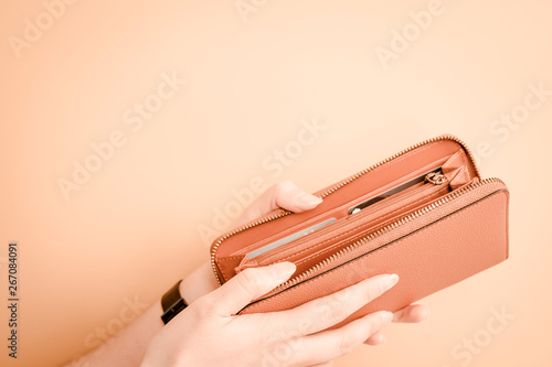 web banner design for woman fashion in spring and summer concept with beauty woman hand hold and open modern brown leather purse or wallet in left hand with pastel color background