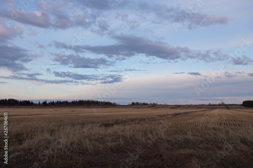 Fields covered in dry grass seen during a beautiful peaceful spring evening, Cacouna, Quebec, Canada