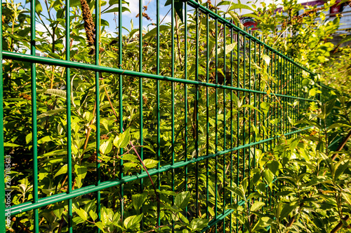 Wallpaper Mural Zaun vor Gebüsch Torontodigital.ca