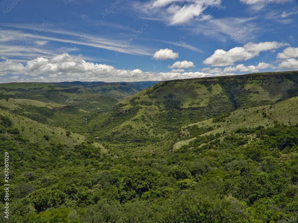 Scenic view on green forest and blue sky in South Africa
