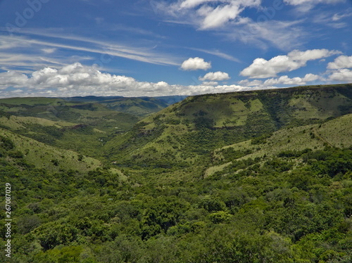 Scenic view on green forest and blue sky in South Africa