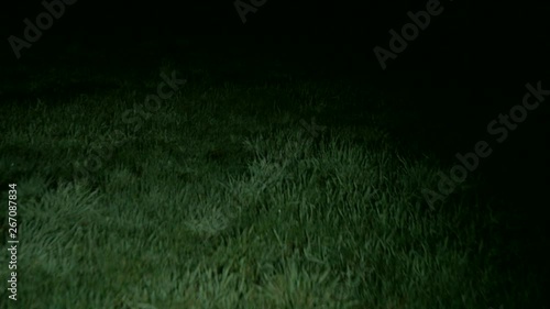 Walking through scary grassy field at nightEscaping from monsters or other scary stuff through the grassy field with darkness all around. Someone is chasing you and wants to eat you.