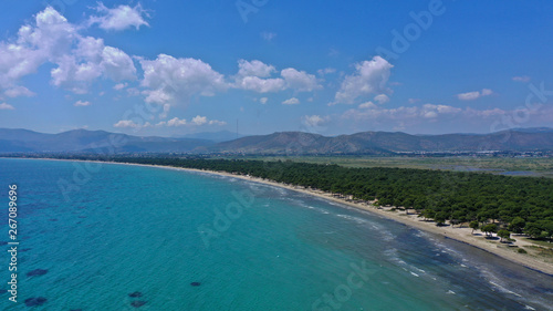 Aerial bird's eye view photo taken by drone of tropical seascape and sandy beach with turquoise clear waters and pine trees © aerial-drone