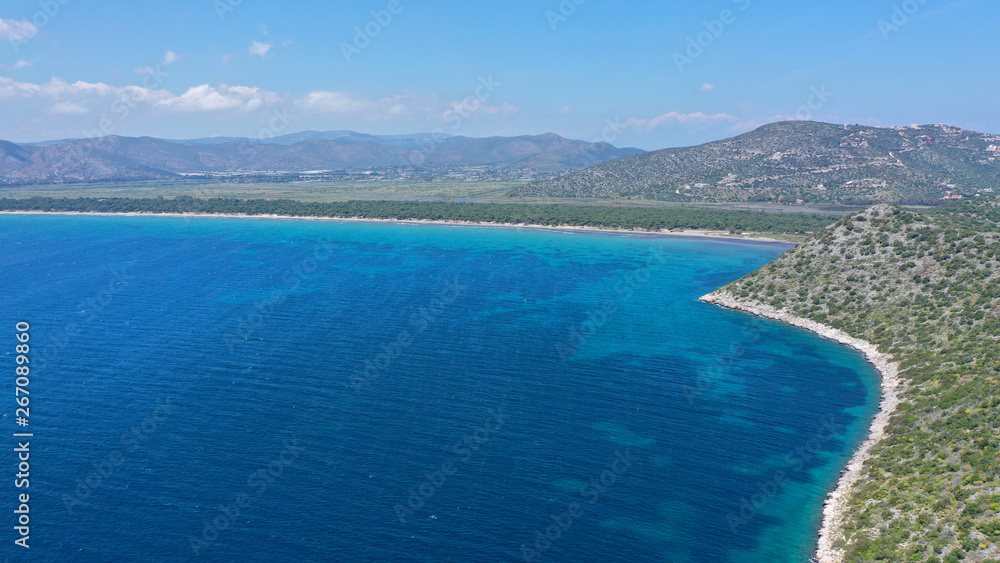 Naklejka premium Aerial bird's eye view photo taken by drone of tropical seascape and sandy beach with turquoise clear waters and pine trees