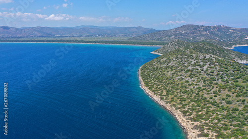 Aerial bird's eye view photo taken by drone of tropical seascape and sandy beach with turquoise clear waters and pine trees