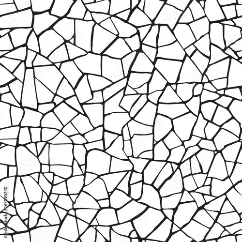  Seamless pattern.The cracks texture white and black. Vector background