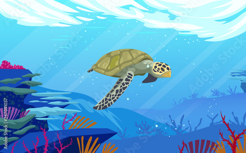 Sea turtle at underwater in the ocean