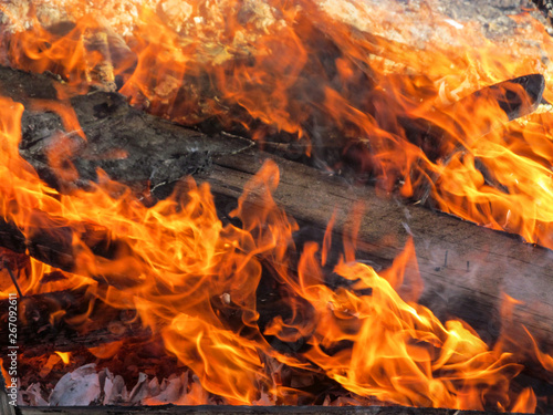 Fire burning wooden plank, close-up. Orange flame background, dark board in fire, smoke and ash