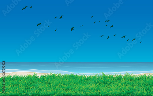 landscape of lawn at the backyard at the beach