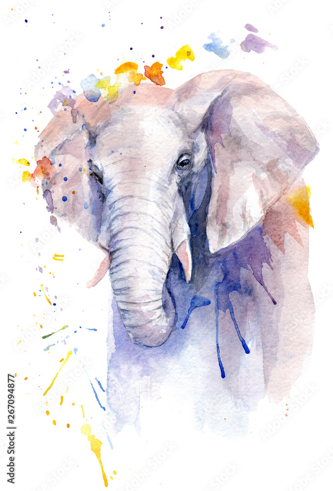 Obraz akwarela rysunek zwierzęcia - słonia w kwiatach